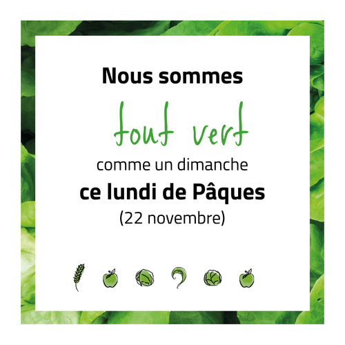 Nous sommes TOUT VERT !